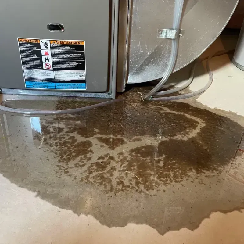 Appliance Leak Cleanup in Delaware, OH